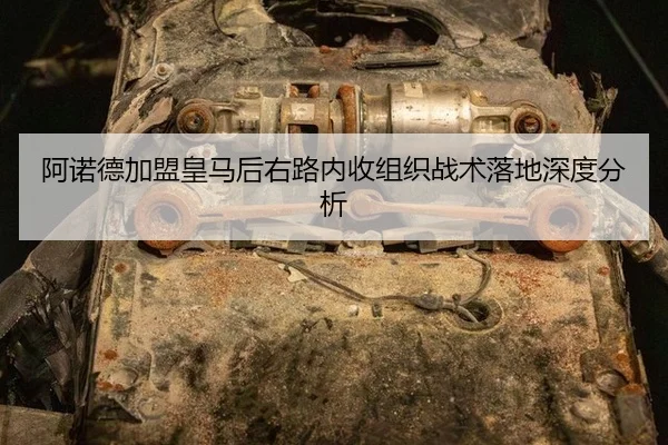 a-nuo-de-jia-meng-huang-ma-hou-you-lu-nei-shou-zu-zhi-zhan-shu-luo-di-shen-du-fen-xi-2-497.jpg